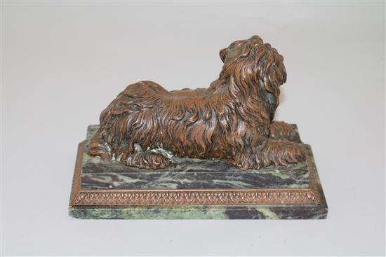 A late 19th century French bronze model of a terrier, 8in.